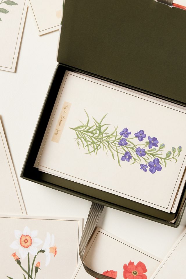 Fringe Studio Birth Month Flower Notecards, Set of 12 #1