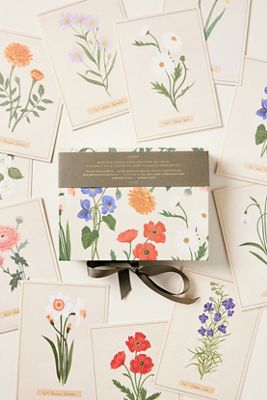 Fringe Studio Birth Month Flower Notecards, Set of 12
