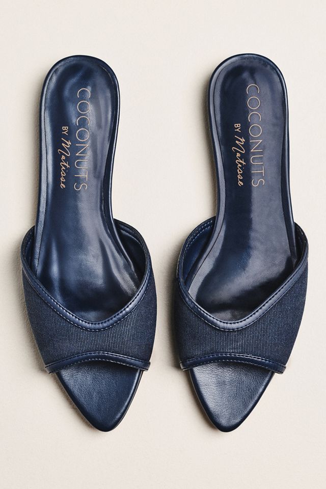 Coconuts by Matisse Jess Pointed-Toe Flats #1
