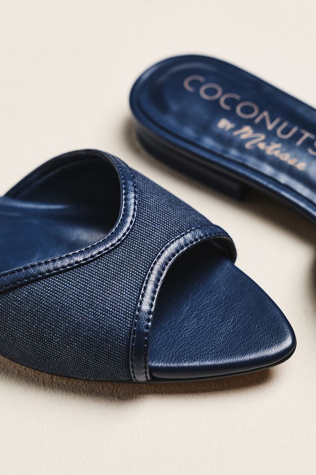 Coconuts by Matisse Jess Pointed-Toe Flats #2