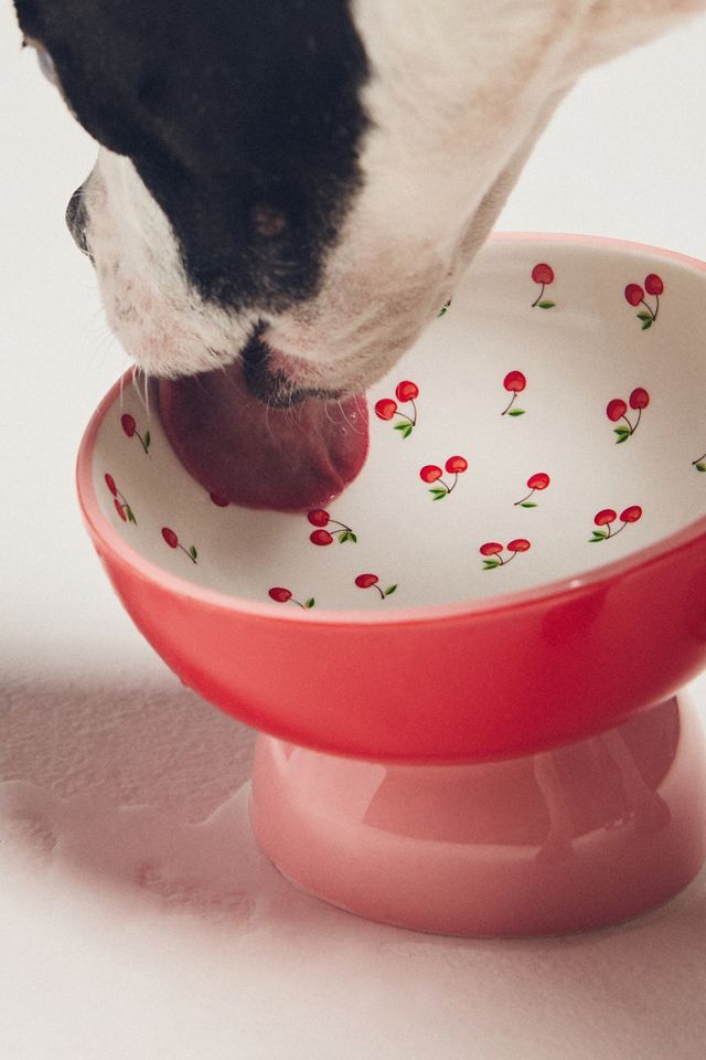 By Anthropologie Cherry Pet Bowl #2