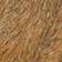 Mixed Wood