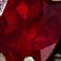 Red Moth