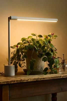 Soltech Tabletop LED Grow Light