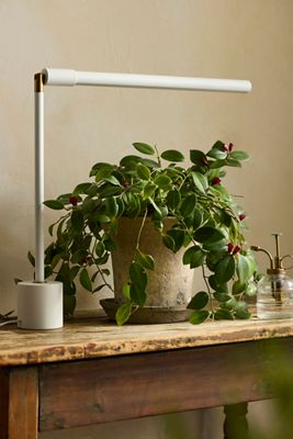 Soltech Tabletop LED Grow Light