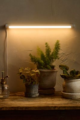 Soltech LED Bar Grow Light