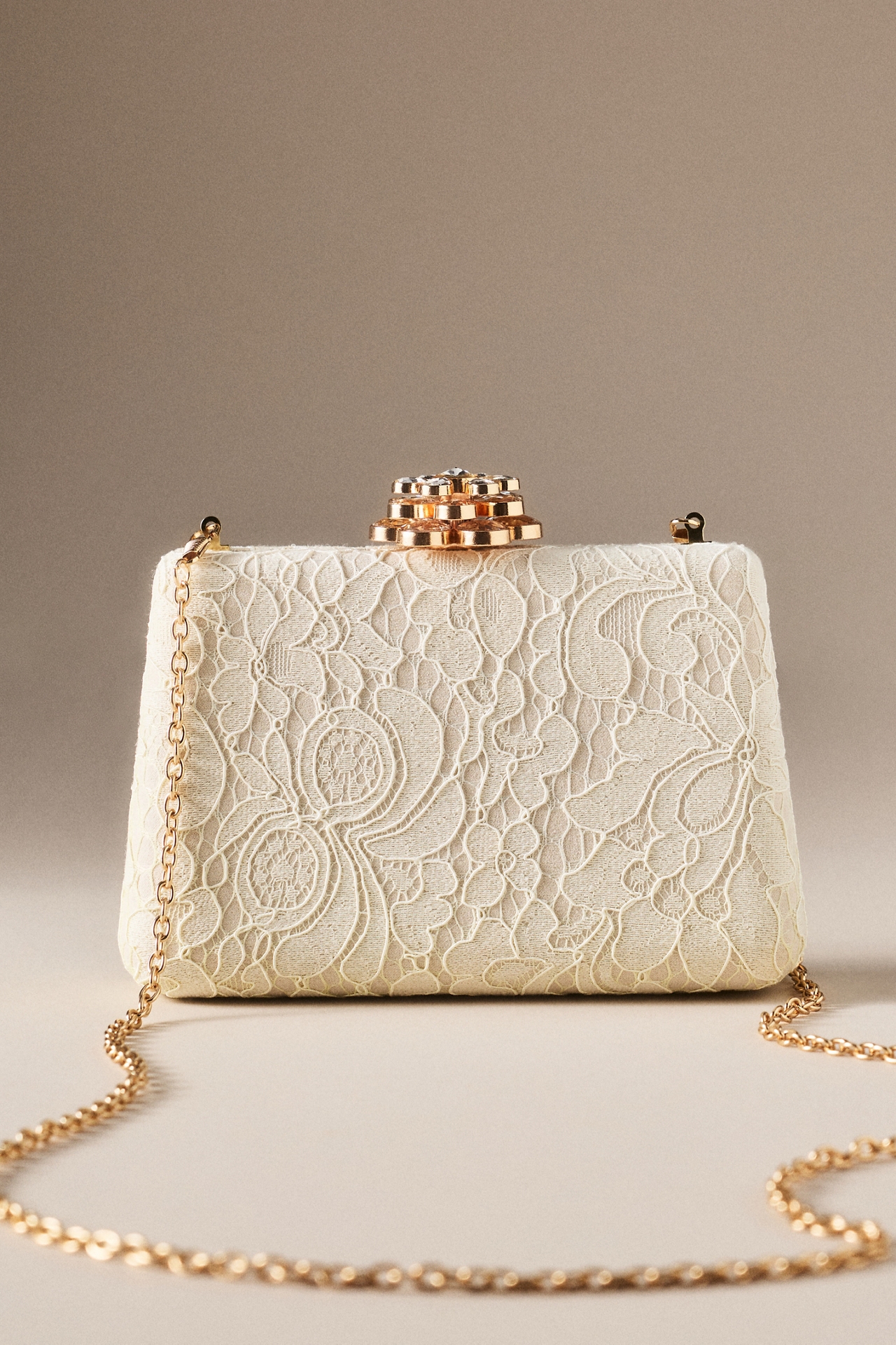 Jewel by Badgely Mischka Rose Lace Frame Clutch