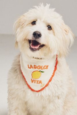The Deluxe Pup Italian-Inspired Pet Bandana