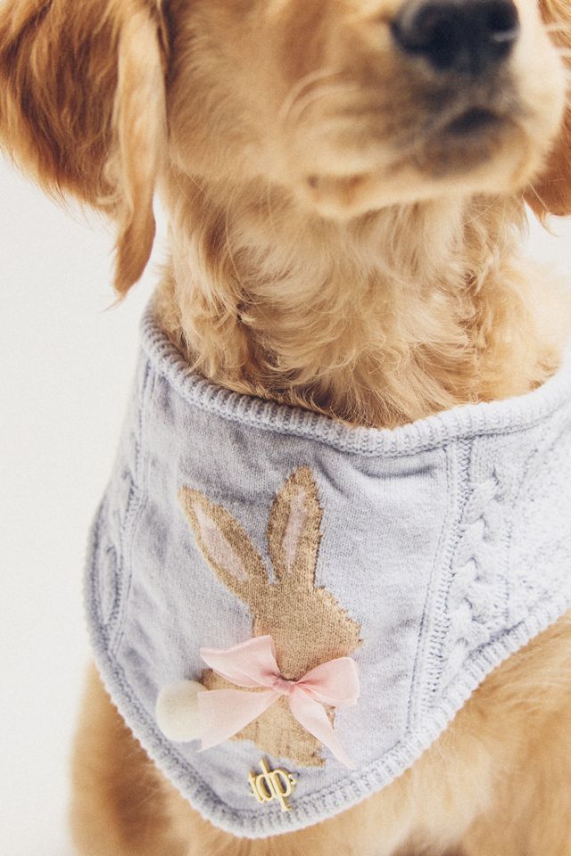 The Deluxe Pup Easter Bunny Pet Bandana #1