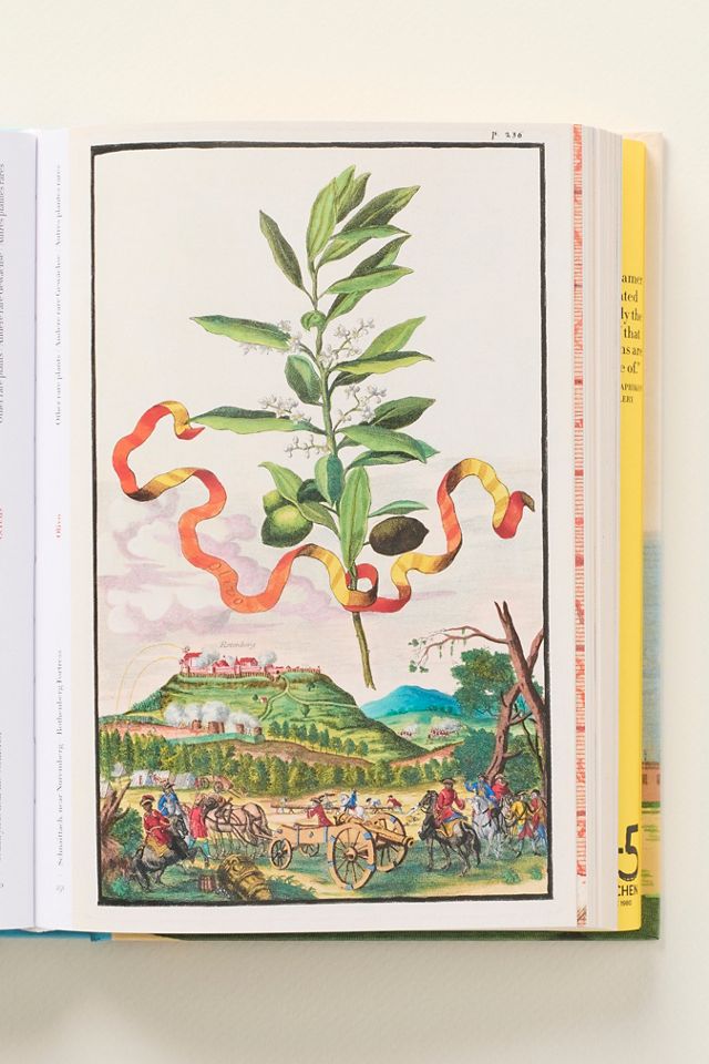 The Book of Citrus Fruits #1