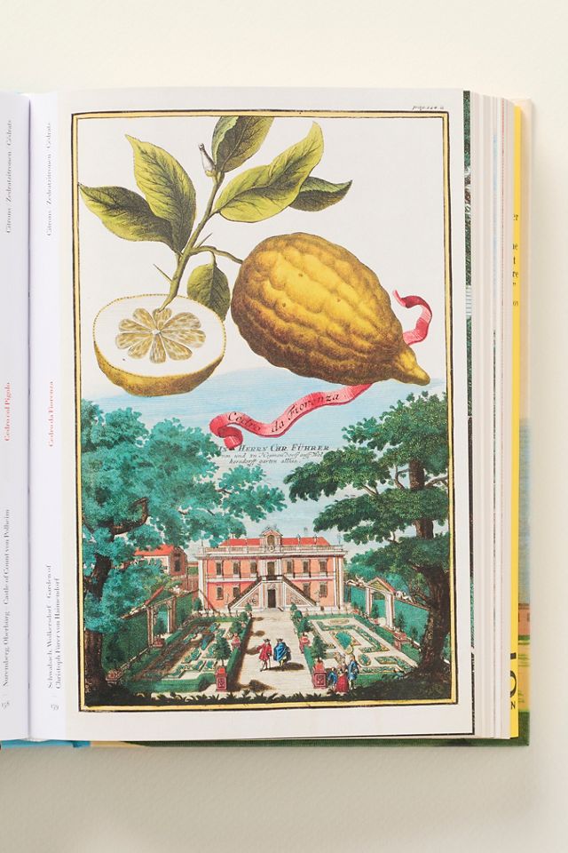 The Book of Citrus Fruits #2
