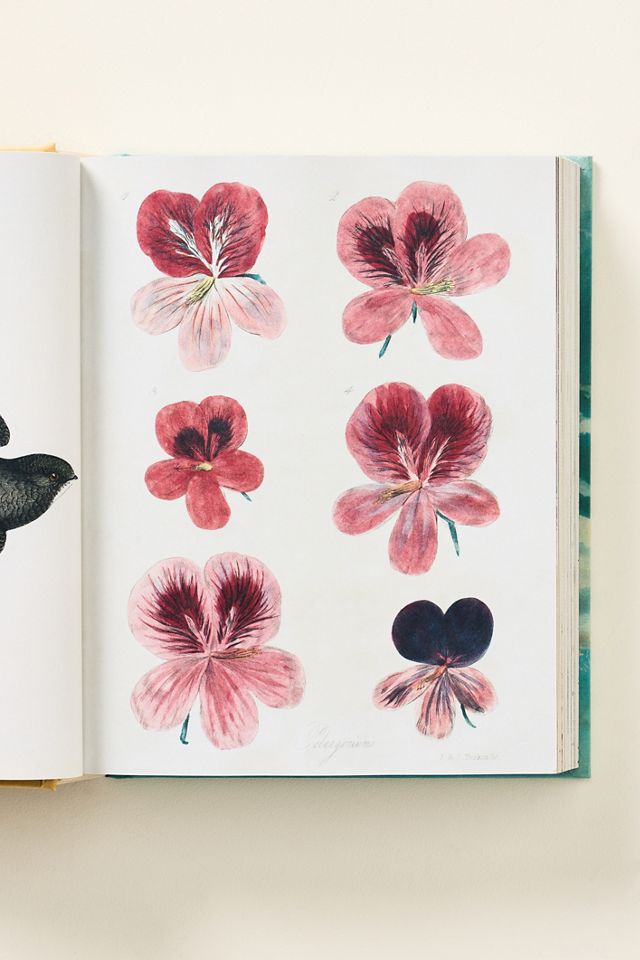 John Derian Sticker Books I & II #1