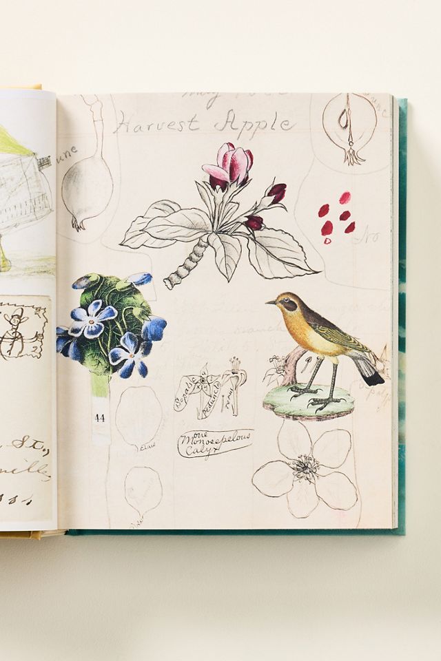 John Derian Sticker Books I & II #2