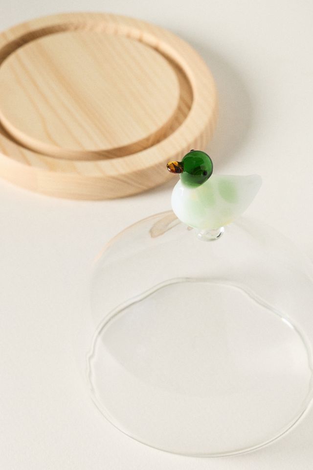 Glass Duck Cloche #1