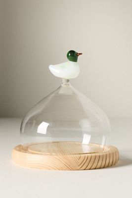 Glass Duck Cloche