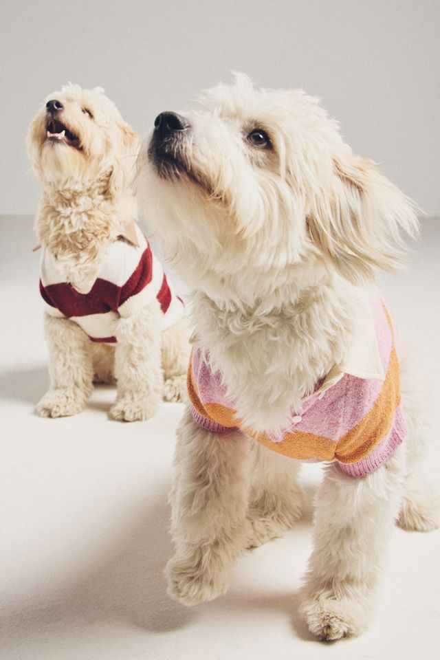 By Anthropologie Striped Rugby Pet Sweater #3