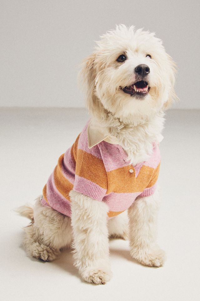 By Anthropologie Striped Rugby Pet Sweater #4
