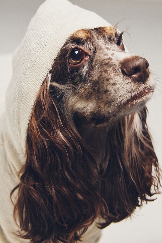 FURB Ivory Slub Knit Pet Hoodie | AnthroHome