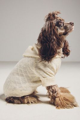 FURB Ivory Slub Knit Pet Hoodie