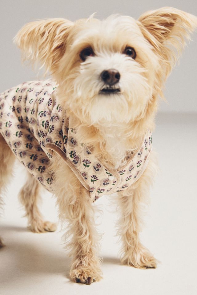 FURB Floral Quilted Pet Vest #1