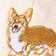 Neutral Corgi