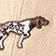Khaki Pointer