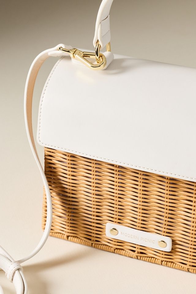 Modern Picnic Mini Wicker Luncher #3