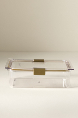Modern Picnic Food Container In Transparent