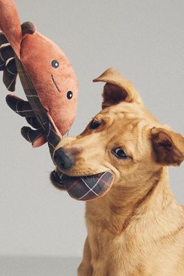 Barbour Squeaky Dog Toy