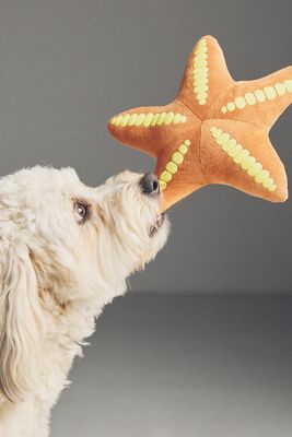 Barbour Squeaky Dog Toy