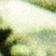 Green Multi