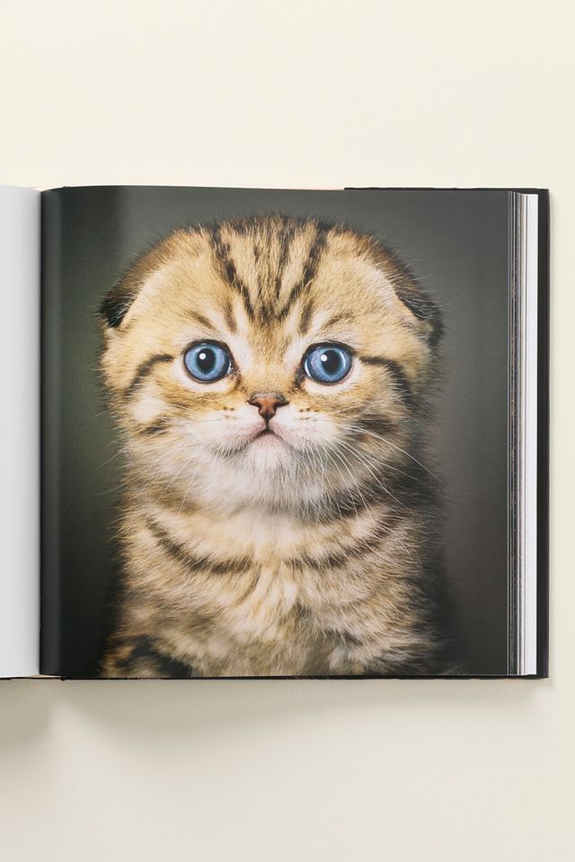 Feline Hardcover Coffee Table Book #1
