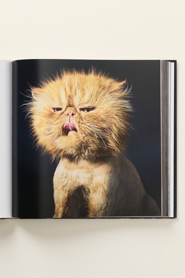 Feline Hardcover Coffee Table Book #2