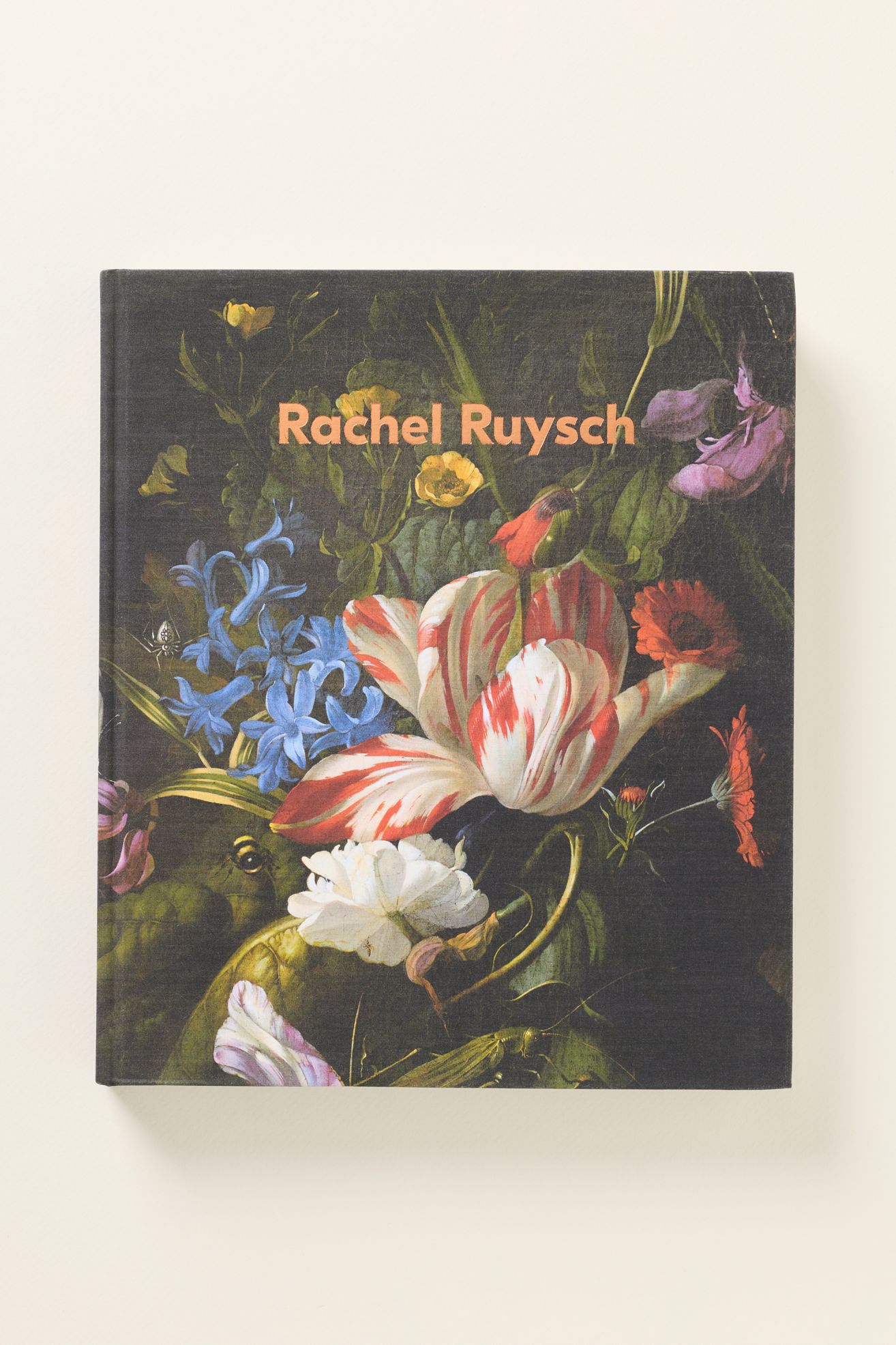 Rachel Ruysch: Nature Into Art Hardcover Book - Pomegranate, One Size
