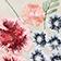 Floral Print