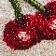 Cherries