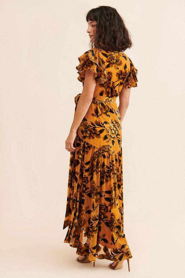 Hutch Zola Velvet Maxi Dress #1