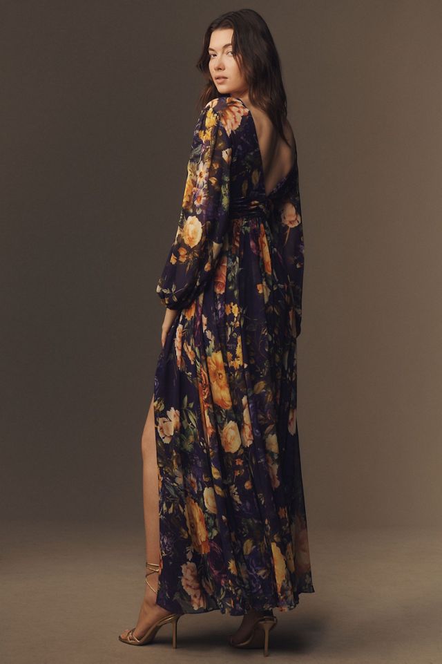 BHLDN Long Sleeve V-Neck Sheer Maxi Dress | Anthropologie