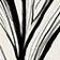 Black & White Pattern