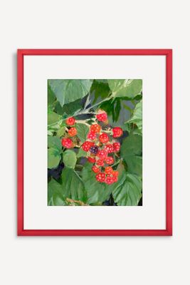 Blackberries Wall Art