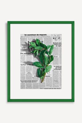 Peppermint Wall Art