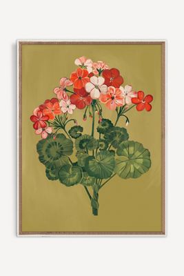 Geranium Study Wall Art
