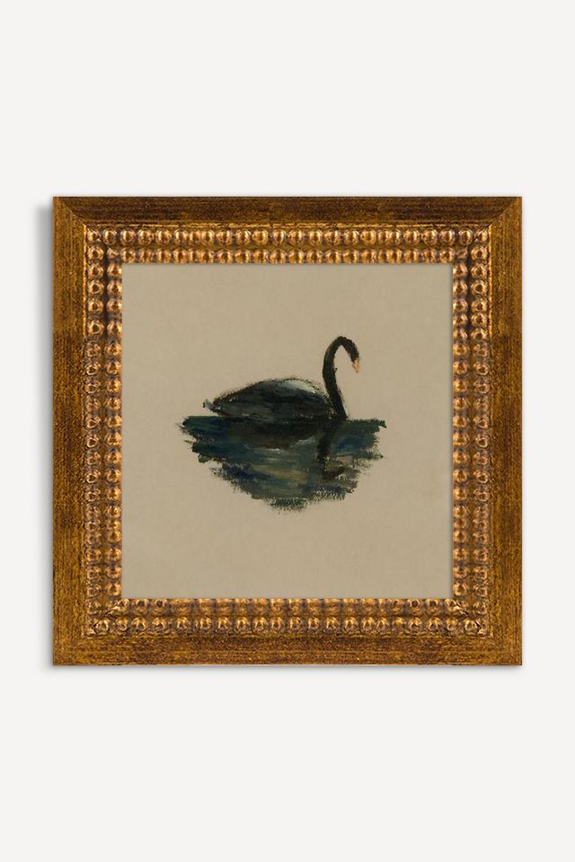 Black Swan Wall Art #1