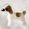 Jack Russell Terrier
