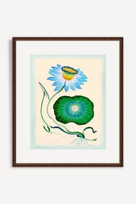 Blue Lotus with Blue Border Wall Art