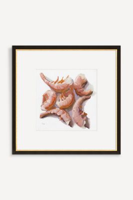 Shrimps Wall Art