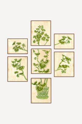 Geranium Gallery Wall, Set of 7