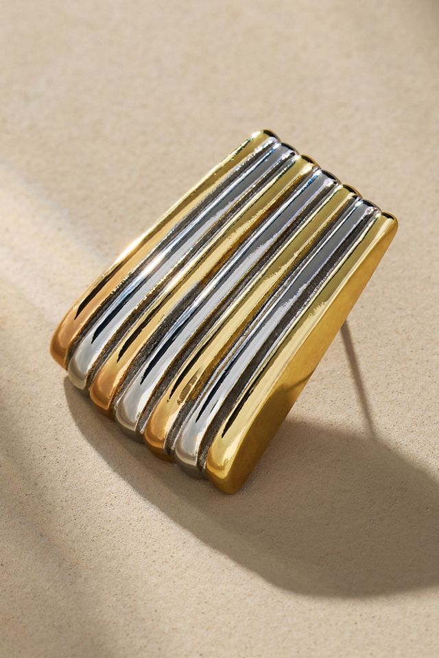 Two-Tone Linear Earrings #1