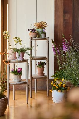 Solarium Tiered Teak Plant Stand