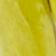 Gold/Peridot